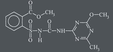 metsulfuron metyl